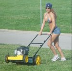 cut the grass.jpg