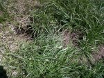 IMG00322-20120402-1339.jpg