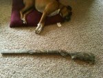 IMG00591-20120417-1417 OU with sock.jpg