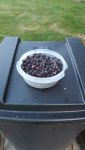 20170614_204030.jpg
