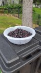 20170618_171534.jpg