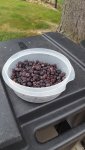 20170618_183446.jpg