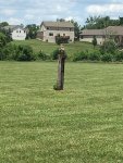 IMG_1278.jpg