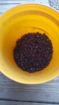 20170624_173029.jpg