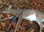 2016 buck.jpg