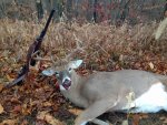 2016-1 buck.jpg
