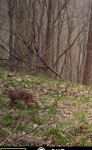 IMG_0220.jpg