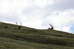 IMG_0175.jpg