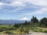 IMG_3582.JPG