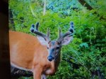 20170701_125813.jpg