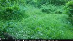 IMG_0007.jpg