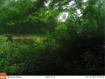 IMG_4053.JPG