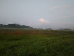 IMG_20170721_054823032.jpg