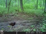 HUNT3982.jpg