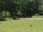 IMG_6588.jpg