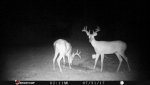 Ohio 5.jpg