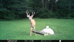 Ohio 4.jpg