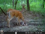 HUNT8166.jpg