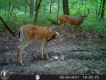 HUNT8171.jpg