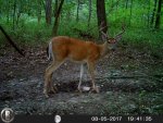 HUNT8186.jpg
