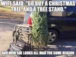 tree and stand.jpg