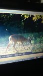 IMG_20170817_184905591.jpg