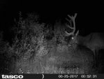 HUNT1770.jpg