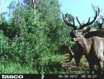 HUNT3074.jpg