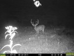 24augbuck3.jpg