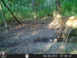 HUNT6222.jpg