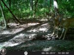 HUNT6252.jpg