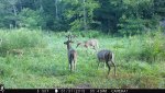 IMG_0348.jpg