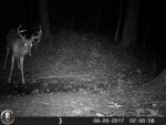 HUNT8765.jpg