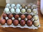 shipped-eggs.jpg