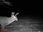WGI_0002 (2).jpg