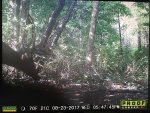IMG_3870.JPG