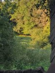 Cabin-6.jpg