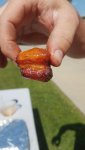 20170916_132825.jpg