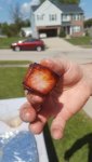20170916_132828.jpg