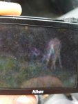20170914_170518.jpg