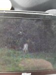 20170914_170544.jpg