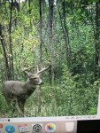 IMG_7577.jpg