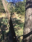 IMG_0126.JPG