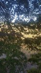 20170930_180756.jpg