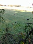 IMG_20170930_182320328.jpg
