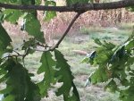 IMG_5836.JPG