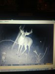 IMG_20171007_202001055.jpg