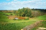 IMG_20171013_101204_566.jpg