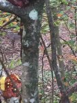 IMG_2956.jpg