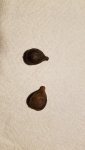 20171107_133320.jpg